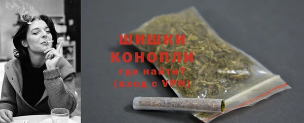 индика Нефтекумск
