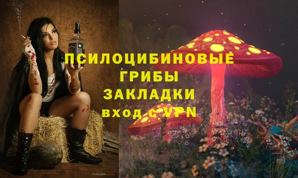 ECSTASY Лиски