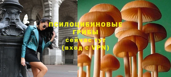 ECSTASY Лиски